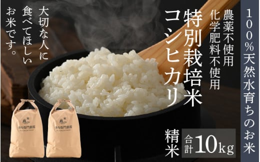 【先行予約】【令和8年産 新米】伊与衛門農園のコシヒカリ 精米 10kg 特別栽培米 5kg×2袋 化学肥料不使用 ＜温度と湿度を常時管理し新鮮米を出荷！＞／ 高品質 鮮度抜群 福井県あわら産 ブランド米 白米 お米 ※2026年9月下旬より順次発送予定 [aw071-c002]