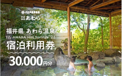 あわら温泉 宿泊利用券 30,000円分 ／ 宿泊券 旅館 チケット 観光 旅行 源泉 大浴場 露天風呂 福井県 あわら市 カニ 蟹 観光地 旅行券 国内旅行 旅行券 宿泊券 ゴルフ 国内 [aw013-j012]