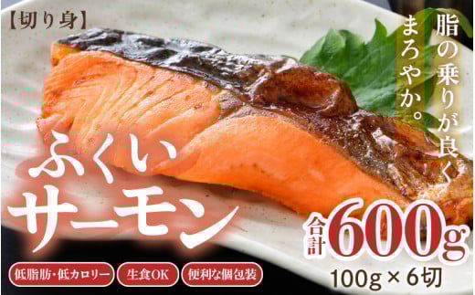 ふくいサーモン 切り身 100g×6切 計600g ＜鮮度抜群！アレンジ自在！真空冷凍＞ ／ 生食OK 刺身 焼き魚 鮭 国産 [aw002-b003]