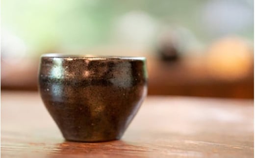 【青ノ木窯】鉄釉フリーカップ [aw008-a001]