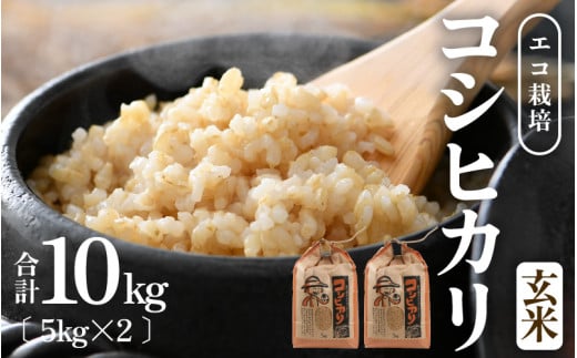 【先行予約】【令和8年産 新米】エコ栽培コシヒカリ 玄米10kg（5kg×2） ／ 鮮度抜群 福井県産 こしひかり ご飯 新鮮 玄米 ※2026年10月上旬以降順次発送 [aw063-a022]