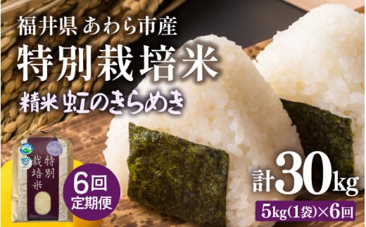 【先行予約】【令和8年産】定期便 ≪6ヶ月連続お届け≫ 化学肥料不使用 虹のきらめき 精米 5kg × 6回（合計30kg） / 白米 米 福井県あわら市産 美味しい 特別栽培米 減農薬 安心な米 旨味 甘み もっちり 冷蔵保管米 ※2026年10月上旬以降発送予定 [aw010-d005]
