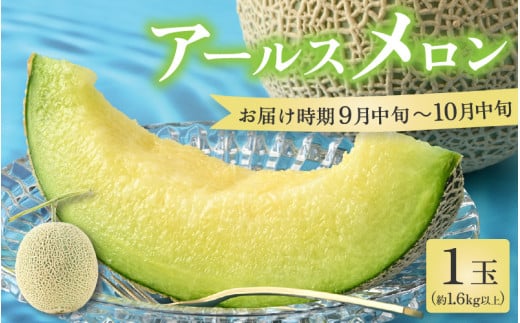 【先行予約】秋 アールスメロン 1玉（約1.6kg以上）青肉品種 高級メロン！ ／ マスクメロン 大玉 果物 フルーツ ギフト 農家直送 ※2026年9月中旬以降発送 [aw065-a008]