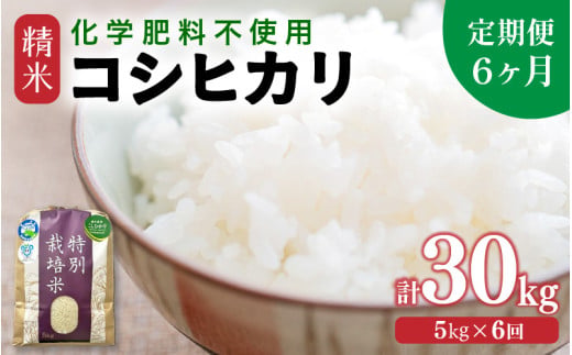 【先行予約】【令和8年産】【定期便6回】 化学肥料不使用コシヒカリ 精米 5kg×6回 （計30kg）/ 白米 米 福井県あわら市産 美味しい 特別栽培米 減農薬 安心な米 旨味 甘み もっちり エコファーマー こしひかり 冷蔵保管米 ※2026年10月上旬以降発送予定 [aw010-f010]
