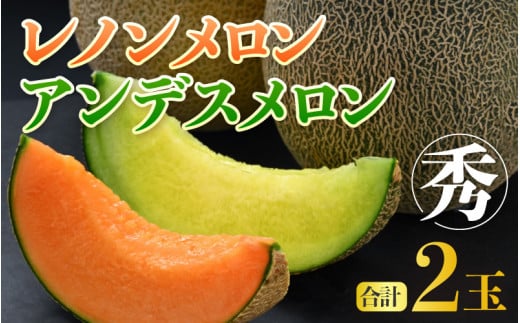 【先行予約】佐藤農園の赤肉と青肉食べ比べ計2玉（レノンメロン・アンデスメロン）農家直送 秀品 お届け！ / フルーツ くだもの 特産 旬 夏 果物 完熟  メロン 朝どれ 美味しい お取り寄せ 贈答 ※2026年6月中旬より順次発送 [aw069-a011]