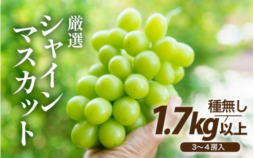 【先行予約】厳選シャインマスカット 1.7kg以上（3～4房）【種なし】フルーツパークOKAYU ※2026年9月中旬より順次発送 [aw007-b004]