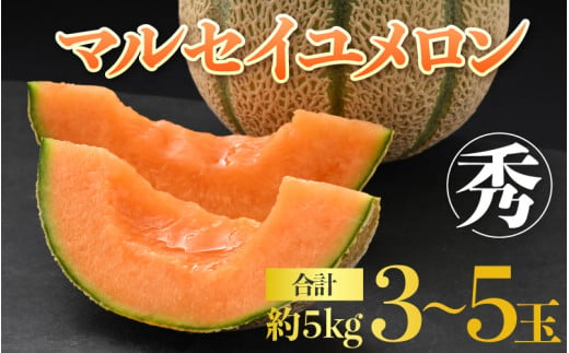 【先行予約】佐藤農園のマルセイユメロン 約5kg 秀品（3～5玉入）深みのある甘さ とろける濃厚な赤肉！農家直送 有機肥料 低農薬 ※2027年5月下旬～6月末の間に順次発送予定 [aw069-a012]