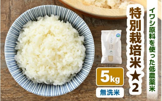 【令和7年産】 特別栽培米 コシヒカリ 無洗米 5kg 低農薬 / 北陸 福井県産 あわら市 ブランド米 白米 お米 コメ 特栽米 [aw056-a025]