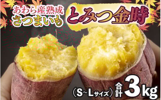 さつまいも とみつ金時 3kg（S～Lサイズ）あわら産 熟成 ／ 焼き芋 スイートポテト 農家直送 期間限定 野菜 常備 [aw041-a002]