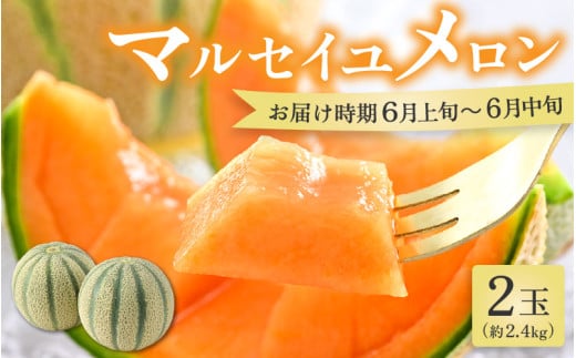 【先行予約】マルセイユメロン 2玉 約2.4kg（約1.2kg以上×2玉）大人気の赤肉品種！高級メロンの味わい ／ 果物 フルーツ ギフト 農家直送 ※2026年6月上旬以降順次発送 [aw065-a005]