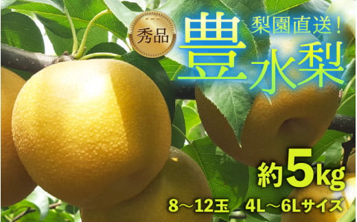 【先行予約】上野梨園の豊水梨 8～12玉入 約5kg  4L～6L【秀品】《数量限定》梨園直送！ / 期間限定 果物 フルーツ 農家直送 シャキシャキ もぎたて 旬 お取り寄せ ※2027年9月上旬より順次発送 [aw077-a021]