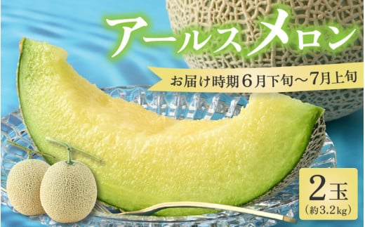 【先行予約】アールスメロン 2玉（約1.6kg以上×2玉）青肉品種 高級メロン！ ／ マスクメロン 大玉 果物 フルーツ 夏 ギフト 農家直送 ※2026年6月下旬以降発送 [aw065-a002]