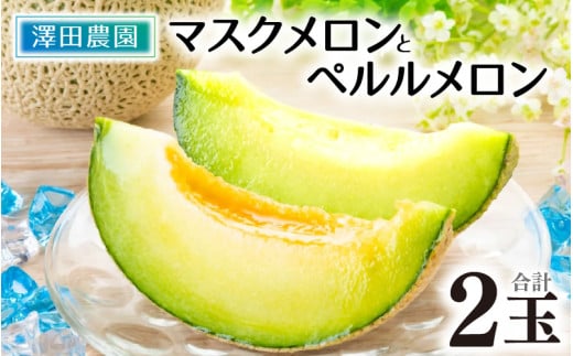 【先行予約】マスクメロン・ペルルメロン 2種セット(2玉入）大玉で食べ応え抜群！  / 期間限定 果物 フルーツ 産地直送 青肉 人気 甘い アールスメロン ※2026年7月上旬より順次発送 [aw039-a007]