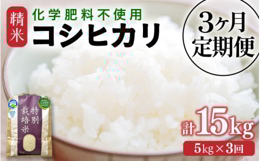 【令和7年産】定期便 ≪3ヶ月連続お届け≫ 化学肥料不使用 特別栽培米 コシヒカリ 精米 5kg × 3回（合計15kg） / 白米 米 福井県あわら市産 美味しい 特別栽培米 減農薬 安心な米 旨味 甘み もっちり 冷蔵保管米 [aw010-c016]