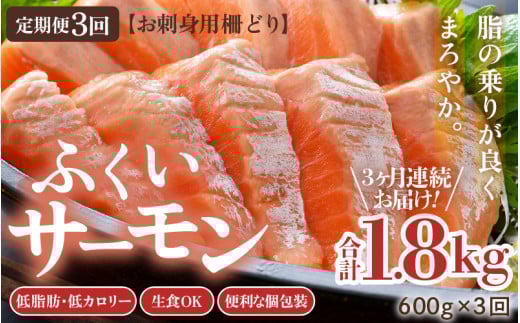 《定期便3回》ふくいサーモン 柵どり 150g×4パック 計600g ＜鮮度抜群！真空冷凍＞ ／ 生食OK 刺身 鮭 国産 [aw002-f003]