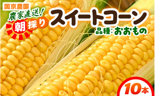 【先行予約】朝採り スイートコーン 黄色 計10本 おおもの ／ ハウス栽培 低農薬 有機肥料 フルーツ並みの甘さ 甘い とうもろこし 野菜 あわら ※2026年10月上旬より順次発送 [aw067-a003]