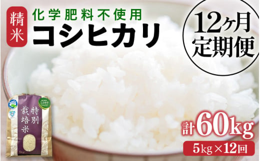 【先行予約】【令和8年産】定期便 ≪12ヶ月連続お届け≫ 化学肥料不使用 特別栽培米 コシヒカリ 精米 5kg × 12回（合計60kg） / 白米 米 福井県あわら市産 美味しい 特別栽培米 減農薬 安心な米 旨味 甘み もっちり 冷蔵保管米 ※2026年10月上旬以降発送予定 [aw010-k003]