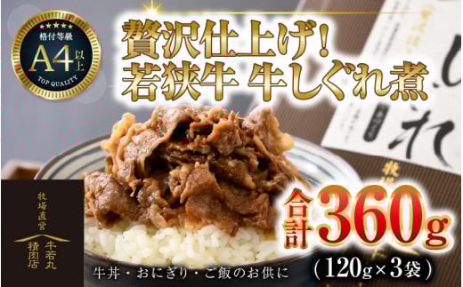 若狭牛の旨みを堪能！ 贅沢仕上げ  若狭牛 牛しぐれ煮 120g（約2人前）×3袋 ／ 国産 牛肉 A4 A5 ブランド牛 [aw009-a003]