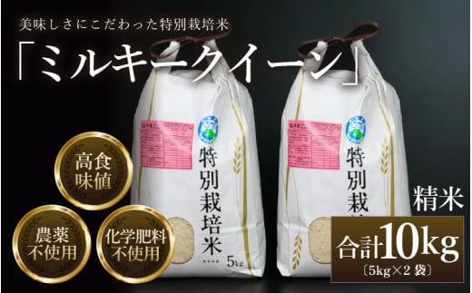 【先行予約】【令和8年産 新米】 ミルキークイーン 精米 5kg×2袋 （計10kg） 特別栽培米 農薬不使用 化学肥料不使用 ／ 高品質 鮮度抜群 福井県産 ブランド米 ※ 2026年10月上旬以降順次発送 [aw063-c003]