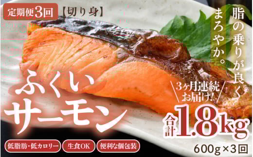 《定期便3回》ふくいサーモン 切り身 100g×6切 計600g ＜鮮度抜群！真空冷凍＞ ／ 生食OK 刺身 焼き魚 鮭 国産 [aw002-f002]