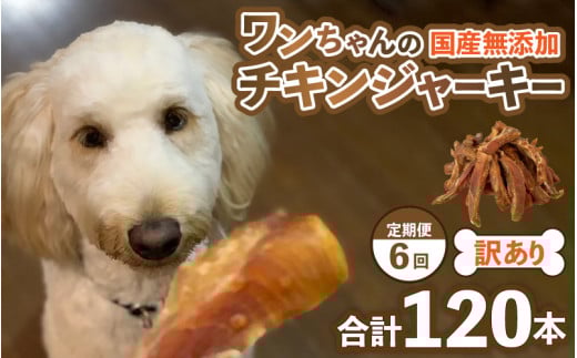 【訳あり】【定期便6回】【国産 鶏肉】20本×6回 ワンちゃんのチキンジャーキー  / ドックフード 手作り やみつき くいつき 犬用 小型犬 中型犬 大型犬 ペットフード 味付けなし [aw044-c001]