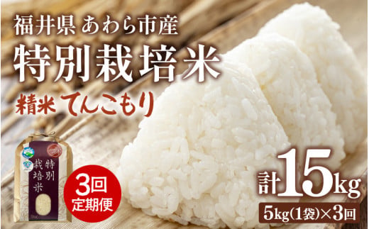 【先行予約】【令和8年産】定期便 ≪3ヶ月連続お届け≫ 化学肥料不使用 てんこもり 精米 5kg × 3回（合計15kg） / 白米 米 福井県あわら市産 美味しい 特別栽培米 減農薬 安心な米 旨味 甘み もっちり 冷蔵保管米 ※2026年10月上旬以降発送予定 [aw010-c028]