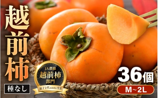 【先行予約】越前柿 36個入 約6kg（M～2L）≪JA受賞歴親子２代≫  ／ 果物 フルーツ 柿 産地直送 期間限定 ※2026年11月上旬より順次発送 [aw061-a002]
