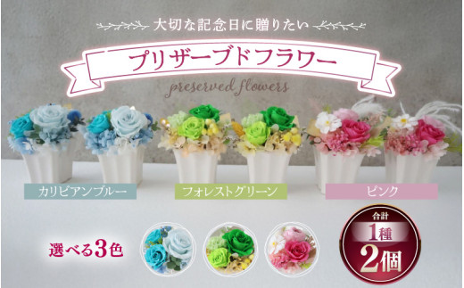 【ブルー】プリザーブドフラワー 2個セット ＜ペアで飾って＞ [aw047-c001_02]