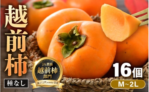 【先行予約】越前柿 16個入 約2.5kg（M～2L）≪JA受賞歴親子２代≫ ／ 果物 フルーツ 柿 産地直送 期間限定 ※2026年11月上旬より順次発送 [aw061-a003]
