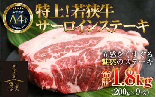 特上！若狭牛サーロインステーキ 200g ×9枚 ／ ステーキ ステーキ肉 A4 A5 1800g 1.8kg サーロイン サーロインステーキ 国産 若狭牛 牛肉 [aw009-k001]