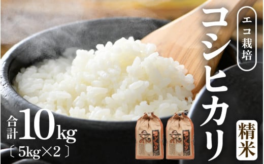 【先行予約】【令和8年産 新米】エコ栽培コシヒカリ 白米10kg（5kg×2） ／ 鮮度抜群 福井県産 こしひかり ご飯 新鮮 白米 ※2026年10月上旬以降順次発送 [aw063-b017]