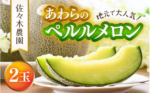 【先行予約】ペルルメロン 3L 2玉入（1.7kg以上×2玉）糖度16度以上！／ 1株1果 大玉 青肉 メロン 果物 フルーツ ギフト 農家直送 ※2027年6月下旬より順次発送 [aw045-a003]