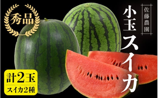 【先行予約】抜群の甘さ！佐藤農園の小玉スイカ 食べ比べセット(ひとりじめ+ひとりじめナノまたはピノガール) 2玉（計3kg以上）／ 秀品 農家直送 有機肥料 低農薬 ※2027年5月下旬～6月末の間に順次発送予定 [aw069-a013]