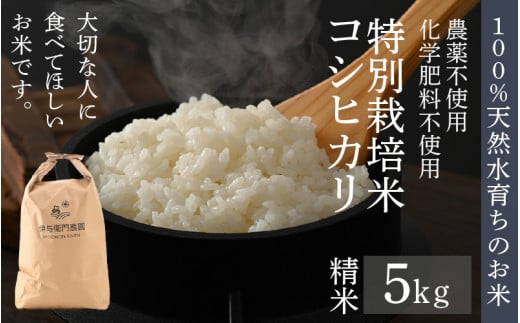 【先行予約】【令和8年産 新米】伊与衛門農園のコシヒカリ 精米 5kg 特別栽培米 化学肥料不使用 ＜温度と湿度を常時管理し新鮮米を出荷！＞／ 高品質 鮮度抜群 福井県あわら産 ブランド米 白米 お米 ※2026年9月下旬より順次発送予定 [aw071-a009]
