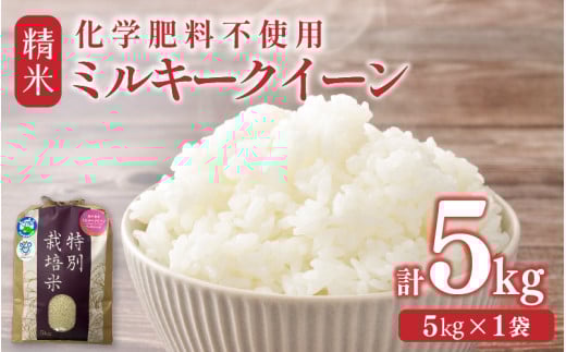 【令和7年産】化学肥料不使用ミルキークイーン 精米5kg（5kg×1袋） / 白米 米 福井県あわら市産 美味しい 特別栽培米 安心な米 旨味 甘み もっちり エコファーマー 冷蔵保管米 冷めても美味しい [aw010-a040]