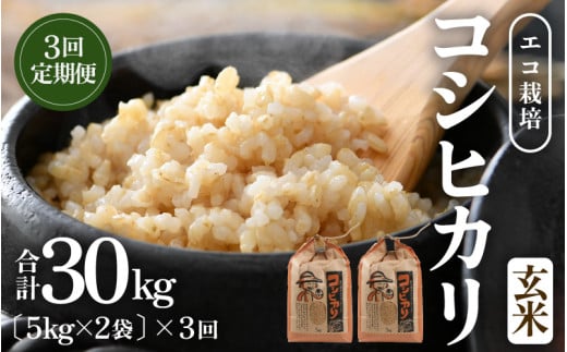【先行予約】【令和8年産 新米】《定期便3回》エコ栽培コシヒカリ 玄米10kg（5kg×2袋）計30kg ／ 鮮度抜群 福井県産 こしひかり ご飯 新鮮 玄米 ※2026年10月上旬以降順次発送 [aw063-e006]