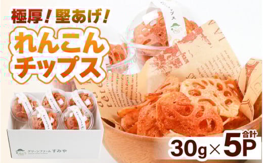 【先行予約】【極厚】堅あげ！れんこんチップス 5カップ ／ 腸活 お菓子 チップス れんこん 小分け おすすめ サクサク【2026年11月上旬以降順次発送予定】 [aw056-a016]