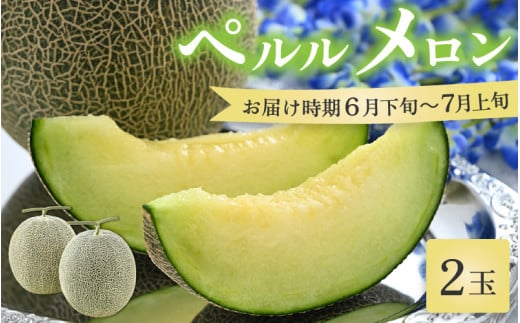【先行予約】ペルルメロン 2玉（約2kg以上×2玉）青肉品種 高級メロン！ ／ マスクメロン 大玉 果物 フルーツ ギフト 農家直送 ※2026年6月下旬以降順次発送 [aw065-a007]