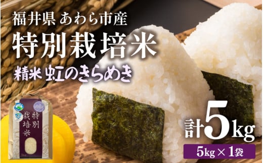 【先行予約】【令和8年産】化学肥料不使用 特別栽培米 虹のきらめき 精米 5kg / 白米 米 福井県あわら市産 美味しい 特別栽培米 減農薬 安心な米 旨味 甘み もっちり 冷蔵保管米 ※2026年9月下旬以降発送予定 [aw010-a069]