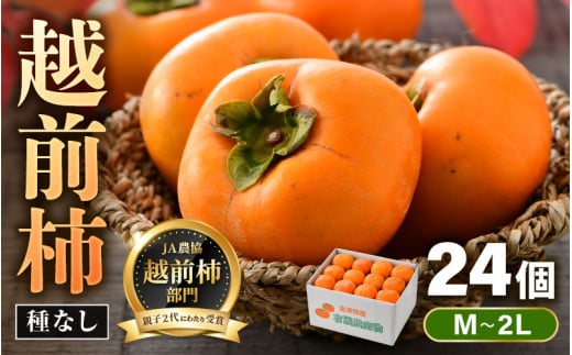 【先行予約】 越前柿 24個入 約4kg（M～2L）≪JA受賞歴親子２代≫ ／ 果物 フルーツ 柿 産地直送 期間限定 ※2026年11月上旬より順次発送 [aw061-a001]