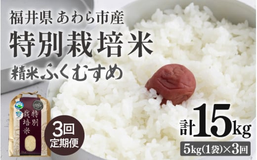 【先行予約】【令和8年産】定期便 ≪3ヶ月連続お届け≫ 化学肥料不使用 ふくむすめ 精米 5kg × 3回（合計15kg） / 白米 米 福井県あわら市産 美味しい 特別栽培米 減農薬 安心な米 旨味 甘み もっちり 冷蔵保管米 ※2026年10月上旬以降発送予定 [aw010-c027]