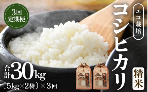 【先行予約】【令和8年産 新米】《定期便3回》エコ栽培コシヒカリ 白米10kg（5kg×2袋）計30kg ／ 鮮度抜群 福井県産 こしひかり ご飯 新鮮 白米 ※2026年10月上旬以降順次発送 [aw063-f010]