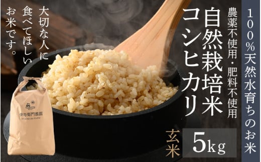 【先行予約】【令和8年産 新米】伊与衛門農園の自然栽培米 コシヒカリ 玄米 5kg 【福井県認証米】伊与衛門農園の特別栽培米 ＜温度と湿度を常時管理し新鮮米を出荷！＞ / 米 自然の力 高品質 鮮度抜群 ブランド米 福井県 あわら市産 スマート農業 ※2026年10月中旬より順次発送予定 [aw071-a010]