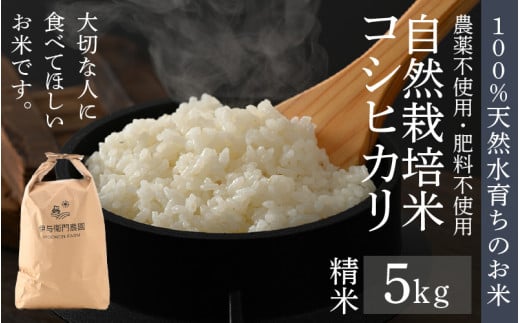 【先行予約】【令和8年産 新米】伊与衛門農園の自然栽培コシヒカリ精米 5kg 【福井県認証米】伊与衛門農園の特別栽培米＜温度と湿度を常時管理し新鮮米を出荷！＞ / 米 白米 自然の力 高品質 鮮度抜群 ブランド米 福井県 あわら市産 スマート農業 ※2026年10月中旬より順次発送予定 [aw071-b004]