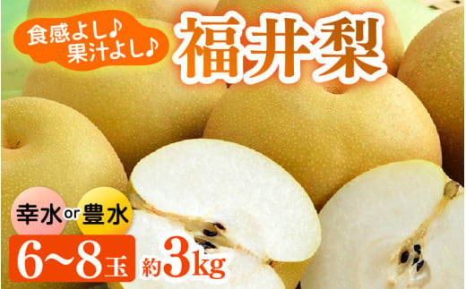 【先行予約】福井梨 3kg 6～8玉入 《幸水梨 豊水梨どちらかのお届け！》 ／ 期間限定 果物 フルーツ 産地直送 旬 お取り寄せ ※2026年8月下旬以降発送 [aw003-a009]
