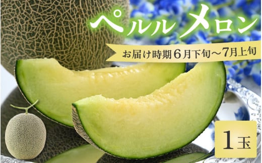 【先行予約】ペルルメロン 1玉（約2kg以上）青肉品種 高級メロン！ ／ マスクメロン 大玉 果物 フルーツ ギフト 農家直送 ※2026年6月下旬以降順次発送 [aw065-a006]