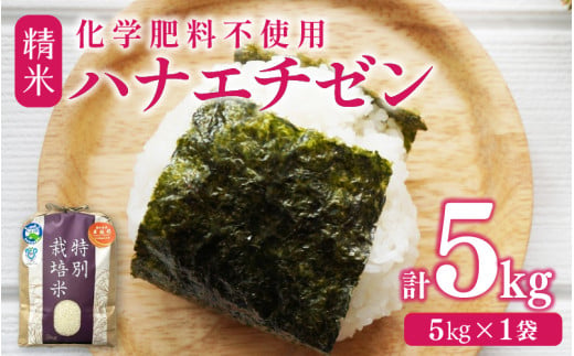 【先行予約】【令和8年産】 化学肥料不使用ハナエチゼン 精米 5kg（5kg×1袋）　/ 米 白米 福井県あわら市産 ブランド米 美味しい 特別栽培米 減農薬 安心な米 旨味 甘み エコファーマー 冷蔵保管米 ※2026年8月下旬より順次発送 [aw010-a041]