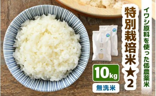 【先行予約】【令和8年産】 特別栽培米 コシヒカリ 無洗米 10kg （5kg×2袋） 低農薬 / 北陸 福井県産 あわら市 ブランド米 白米 お米 コメ 特栽米 ※2026年9月下旬以降順次発送 [aw056-b002]