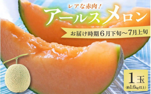 【先行予約】【赤肉】アールスメロン 1玉（約1.6kg以上）赤肉品種 高級メロン！ ／ マスクメロン 大玉 果物 フルーツ 夏 ギフト 農家直送 ※2027年6月下旬以降順次発送予定 [aw065-a003]