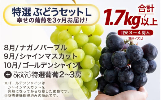 【先行予約】【訳あり】＜全3回定期便＞特選 ぶどうセットL（8月・9月・10月）1.7kg以上（各月3～4房）／ 葡萄 ナガノパープル シャインマスカット ゴールデン シャイン 品種 おまかせ あわら 農家おすすめ ※2026年8月より順次発送 [aw007-f001]